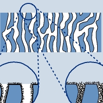 PolyAn Pervaporationsmembranen und Affinitätsmaterialien